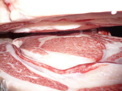 ͥ�ɾ�48���ʭ�