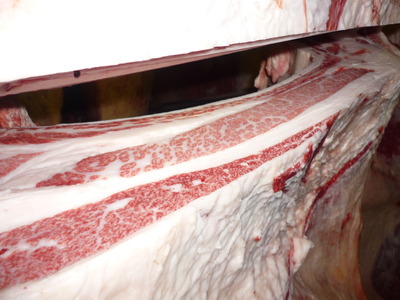 Í¥ÎɾÞ069êÈÓ¼ÃÜ»º¢