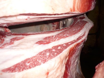 101 ͥ�ɾޡ�����ˮ�˭�