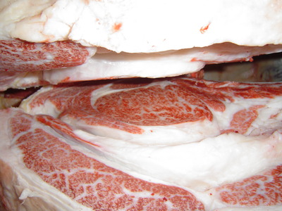 ͥ����4�ʡ����ڡ˿���ë��