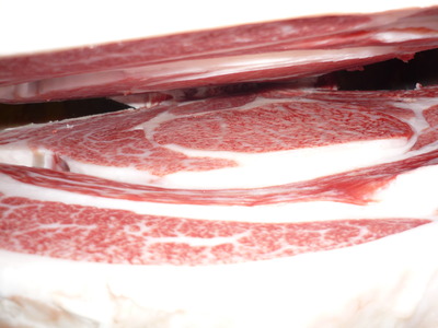 ͥ�ɾޡ�5033ʿ���