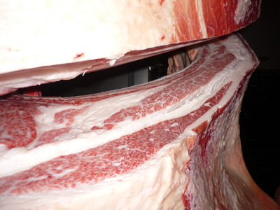 ̾ÍÀ¾Þ¡¡074²ÃÆ£ËÒ¾ì¢