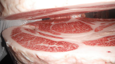 007������(ͥ�ɾ�)��