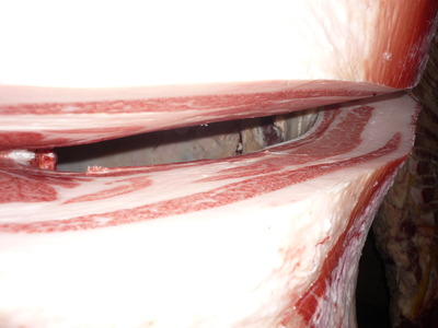 Í¥Îɾޡ¡082±§ÅÔÌÚ°ìÉ×¢