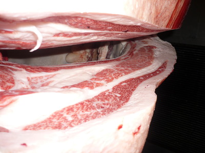 ͥ�ɾޡ�36����δ��