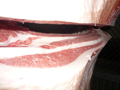 ��ͥ���ޡ�118��ƣ���ﭢ