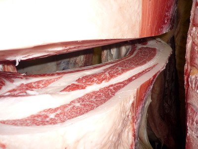 ͥ�ɾޡ�157���羡§��