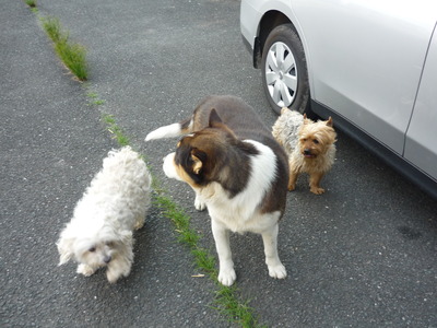 ��ʿ�Ҿ� 018