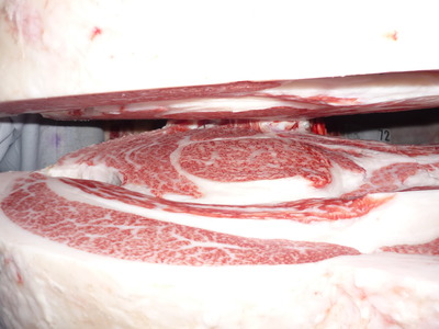 Í¥Îɾޡ¡071¼ò°æ¹î¸Ê¡