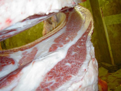 ��ͥ���ޡ����