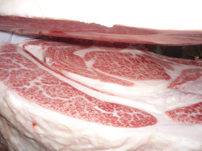 Í¥Îɾޡ¡099Àкê¶Ñ¡