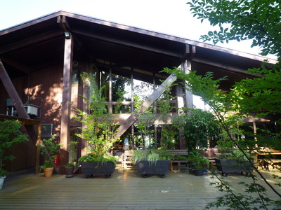 ¥¢¥á¥ê¥«²° 036