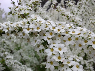 4c13482f.jpg
