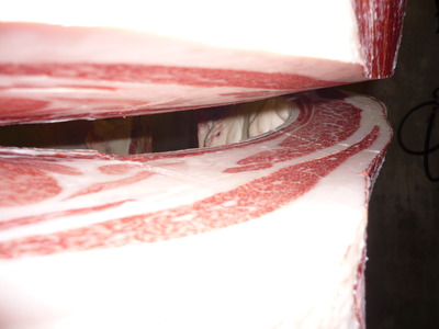 �����ޡ�74��¼����