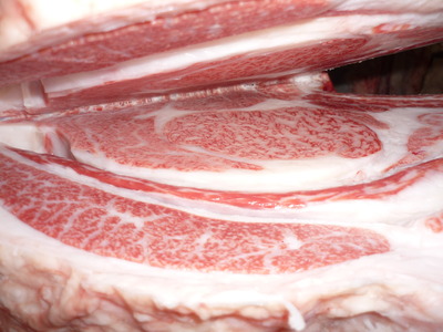 ��ͥ���ޡ�02��ƣ��Ƿ��