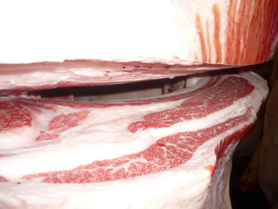 Í¥Îɾޡ¡110º´Æ£¹×¢