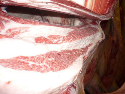 ͥ�ɾޡ�132���Ĺ��ԭ�