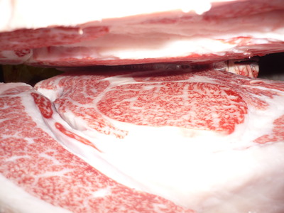 ��ͥ����41���Ӹ��ҭ�