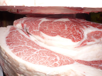 ��ͥ���ޡ�146����ˮͺ��