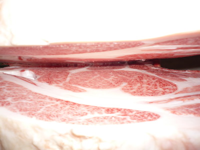 ͥ�ɾ�5084���ļ��ΰ쭡