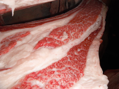 Í¥½¨¾Þ1ÀÊ¡¦²ÃÆ£ËÒ¾ì¢