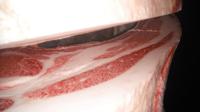 030����(ͥ����2��)��