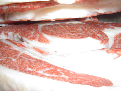 ͥ���ޡ�05����ʿ�Ҿ�?