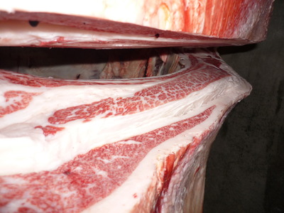 ͥ���ޣ���17ʿ���