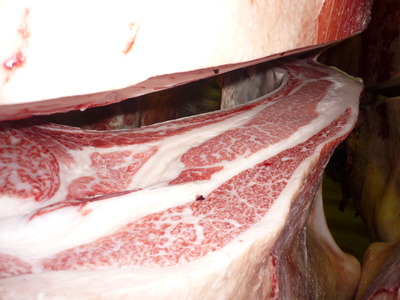 ̾���ޡ�131(ͭ)��ƣ�Ҿ졡��