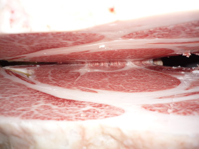 ͥ�ɾ�5022��ƣ���ﭡ