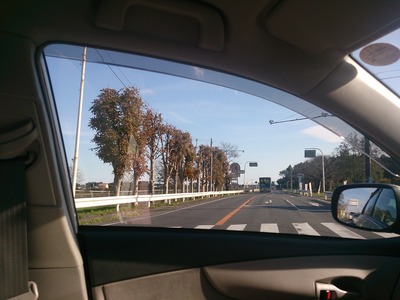 5543976e.jpg