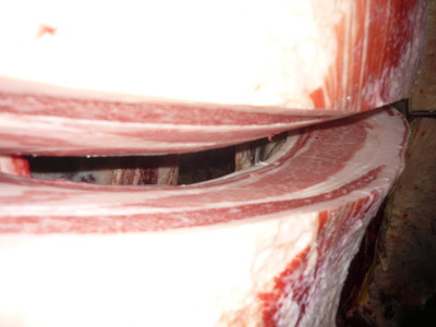 ̾ÍÀ¾Þ¡¡025Éð°æ´à¢