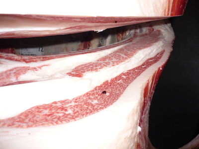 Í¥Îɾޡ¡071¼ò°æ¹î¸Ê¢