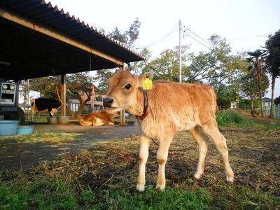 5662d3e0.jpg