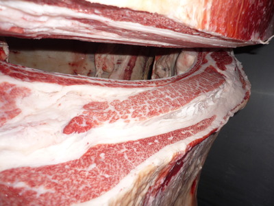 Í¥Îɾޡ¡089ËÈÅÄËÒ¾ì¢