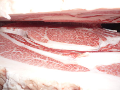 ��ͥ���ޡ�118��ƣ���ﭡ