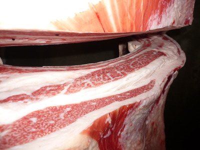 ͥ�ɾ�48���ʭ�