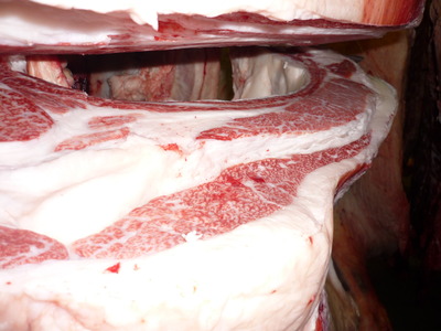 ��ͥ���ޡ�101��¼��ƻ��