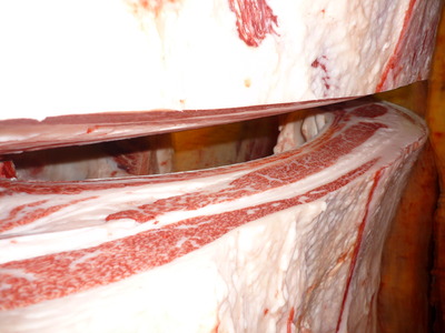 ͥ�ɾޡ�055��ƣ���ﭢ