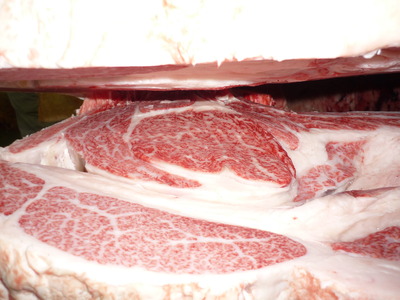 ºÇÍ¥½¨¾Þ22²ÃÆ£ËÒ¾ì¡