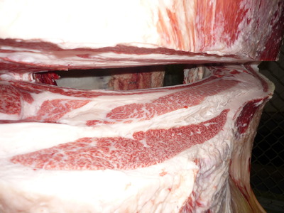 ��ͥ���ޡ�151�����Ҿ쭢