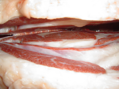 06ÅľåÉÞÈþ¹¾?