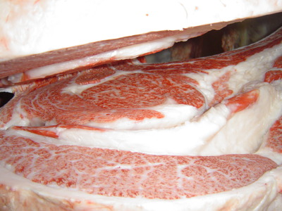 ͥ�ɡ�����1