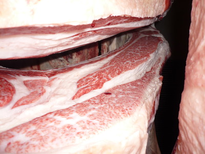 ºÇÍ¥½¨¾Þ¡¡075¸ÅÂôÌÐÏ¢