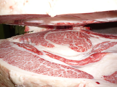 Í¥ÎɾÞ21²ÃÆ£ËÒ¾ì¡