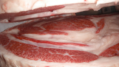 ͥ�ɾޡ�151��ƣ��