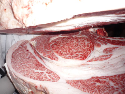 Í¥½¨¾Þ£±ÀÊ¡¡074¸ÅÂôÌÐÏ¡