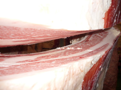 ��ͥ����5115(ͭ)��ƣ�Ҿ쭢