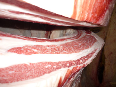 ͥ�ɾޡ�153�������­�