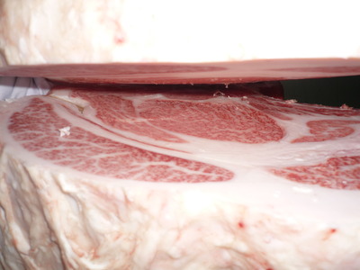 5373���ѵ�����ꭢ